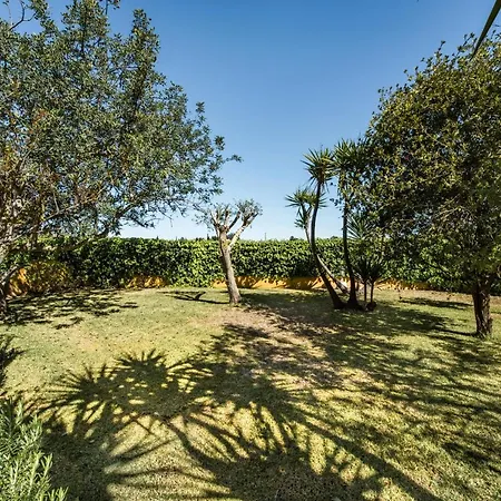 Peaceful Algarve With Private Pool, Spacious Garden & Bbq Area 펜션